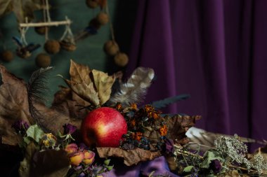 Durgun hayat. Geçmişi. kompozisyon. Masaüstü ekran koruyucu. Meyveli bir çınar dalı tasarla. Kumaş örtüsü. Kurumuş meyveler. Kırmızı elma.