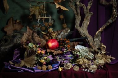 Durgun hayat. Geçmişi. kompozisyon. Masaüstü ekran koruyucu. Meyveli bir çınar dalı tasarla. Kumaş örtüsü. Kurumuş meyveler. Kırmızı elma.