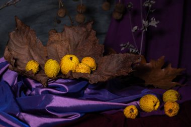 Durgun hayat. Geçmişi. Phyto kompozisyonu. Masaüstü ekran koruyucu. Uçak ağacının sonbahar yaprakları. Kumaş örtüsü. Çin ayva ezmesinin solmuş meyveleri.