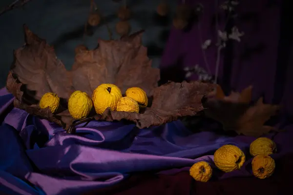 Durgun hayat. Geçmişi. Phyto kompozisyonu. Masaüstü ekran koruyucu. Uçak ağacının sonbahar yaprakları. Kumaş örtüsü. Çin ayva ezmesinin solmuş meyveleri.