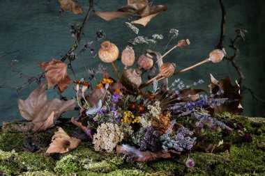 Durgun hayat. Geçmişi. kompozisyon. Masaüstü ekran koruyucu. Haşhaş meyvesi. Yaprak dalı..