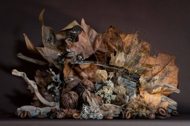 Mistik, melankolik, sonbahar yaprakları, ağaç dalları, sürüklenen dallar ve vahşi orman kuşlarının tüyleriyle dolu bir hayat..