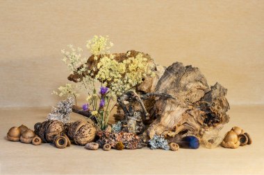 Still life on a sand-colored background. A piece of wood and a minimalist arrangement of dry wildflowers. clipart