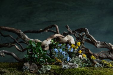 Narin bahar çiçekleri romantik bir kompozisyonda çiçek açar. Gizem ve tazelik katar. Yumuşak yapraklar ve büyüleyici renkler rüya gibi ve şiirsel bir atmosfer yaratır.