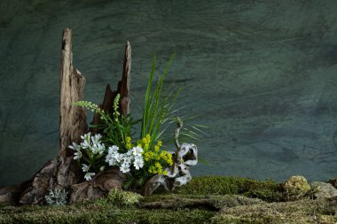 Taze ve narin Ornithogalum diğer bahar çiçekleriyle birlikte gizemli ve gizemli bir atmosferde çiçek açar. Yumuşak yapraklar ve ruhani renkler saflığı ve sessizliği çağrıştırır.