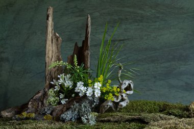 Taze ve narin Ornithogalum diğer bahar çiçekleriyle birlikte gizemli ve gizemli bir atmosferde çiçek açar. Yumuşak yapraklar ve ruhani renkler saflığı ve sessizliği çağrıştırır.