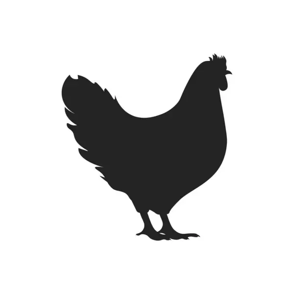 Tavukta, tavukta, tavukta, horozda izole edilmiş siyah resim, basit bir hayvan simgesi.