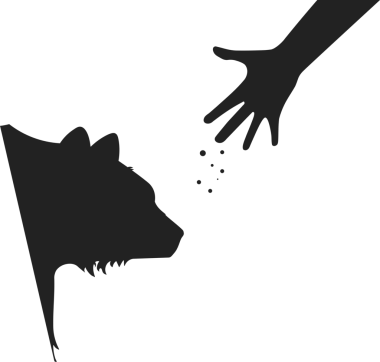 Ayıyı besleme, hayvan tarafından ısırılma riski, orman güvenliği işareti.