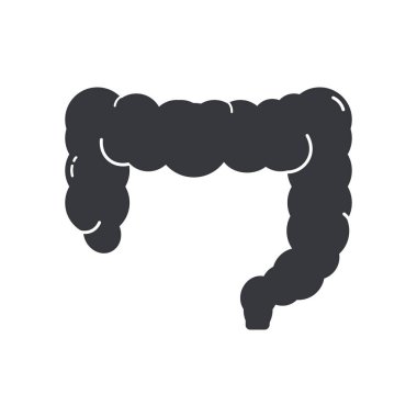 İnsan vücudunun sindirim ve sağlıkla ilgili bir kısmını temsil eden, bağırsağın izole edilmiş resimli çizimi..