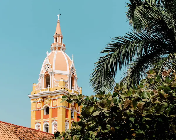 Cartagena de Indias, Kolombiya 'daki renkli katedralin manzarası.