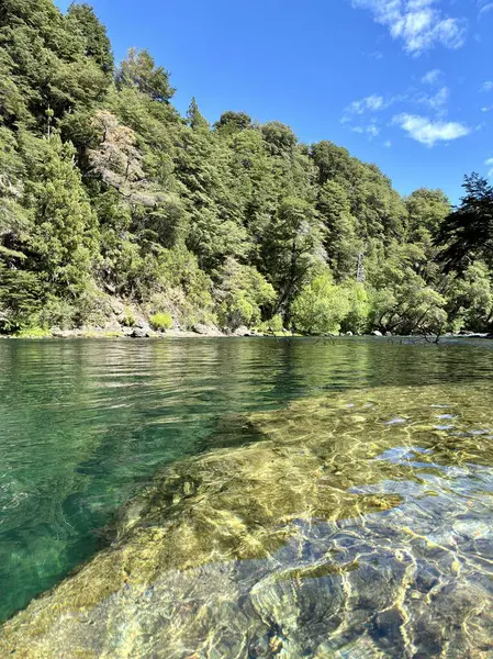 Rio Negro, Arjantin 'deki Manso Nehri' nin kristal suyu. Yüksek kalite fotoğraf