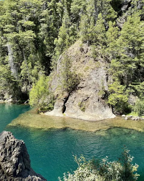 Rio Negro, Arjantin 'deki Manso Nehri' nin kristal suyu. Yüksek kalite fotoğraf
