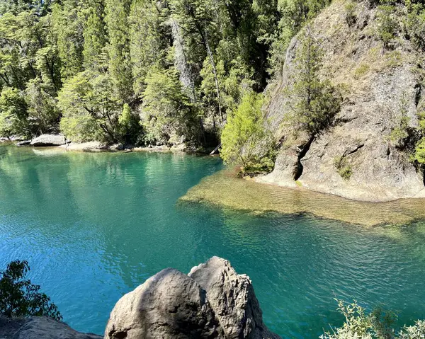Rio Negro, Arjantin 'deki Manso Nehri' nin kristal suyu. Yüksek kalite fotoğraf