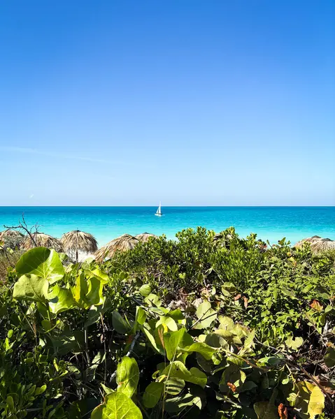 Cayo Santa Maria, Küba 'daki cennet plajı. Yüksek kalite fotoğraf