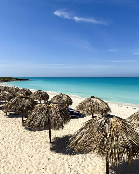 Güneşli mavi gökyüzü altında altın kum, turkuaz dalgalar ve samandan şemsiyeler içeren sakin kıyı manzarası. Rahatlamak ve güneşlenmek için mükemmel bir yer. Yüksek kalite fotoğraf