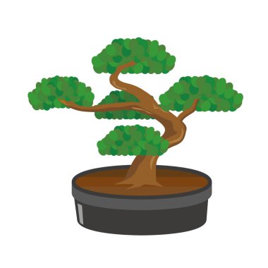 Tencerede bonsai resmi.