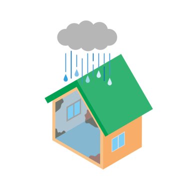 İçeride küf büyüyen bir evin tasviri