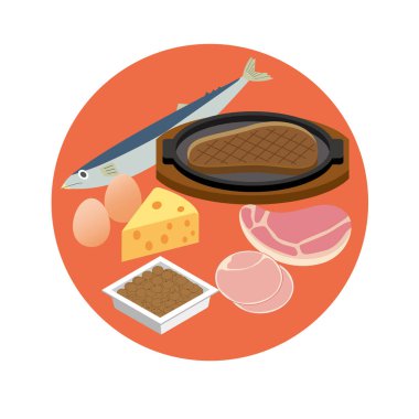 Protein içerikli yiyeceklerin tasviri