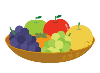 Çeşitli meyvelerin çeşitli çizimleri