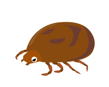 Kenardan görülen kenelerin resim çizimi