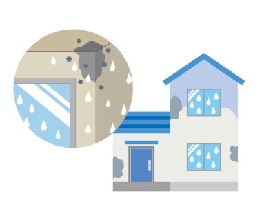 Rutubet nedeniyle evin içinde küf büyüyen bir ev.