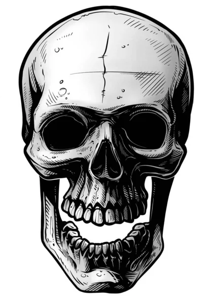 Detailed Graphic Hand Drawn Realistic Black White Angry Human Skull — Stock Photo, Image