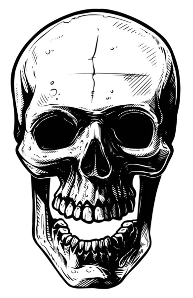 Grafica Disegnata Mano Realistico Cranio Umano Arrabbiato Bianco Nero Con — Vettoriale Stock