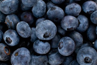 Bir arkaplan dokusu için yaban mersinlerinin fotoğrafını kapat