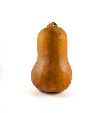 Hassas, kabocha, meşe palamudu, bal fıstığı ve köfte tavası gibi çeşitli kabakların fotoğrafı.