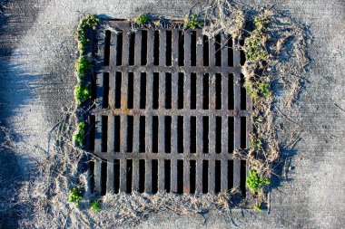 Paslı bir drenaj ızgarasının yukarıdan aşağı görüntüsü