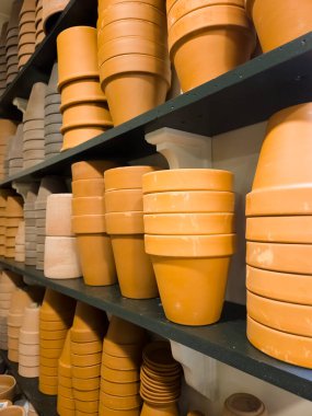Raflardaki terra cotta saksılarının çeşitliliği