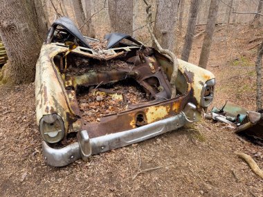 Çöplükte paslı bir hurda araba.