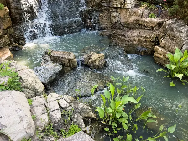 Bitkilerle çevrili bir göle şelale