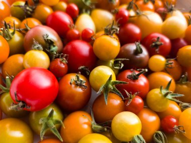 Karışık kiraz domates çeşitleri.