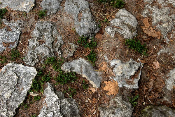 Deniz Dalgası Kumdaki Kaya — Stok fotoğraf