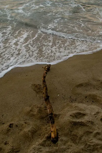 Морская Волна Песок Деревянная Ветвь — стоковое фото