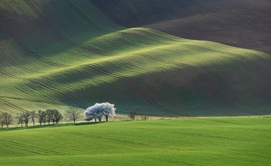 gizemli bahar Moravya Toskana