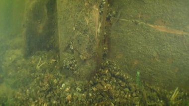 Arkeolojik çalışma: kamera yan tahtaların bağlı olduğu çerçeve boyunca yavaşça yükseliyor, Dinyeper Nehri, Ukrayna.