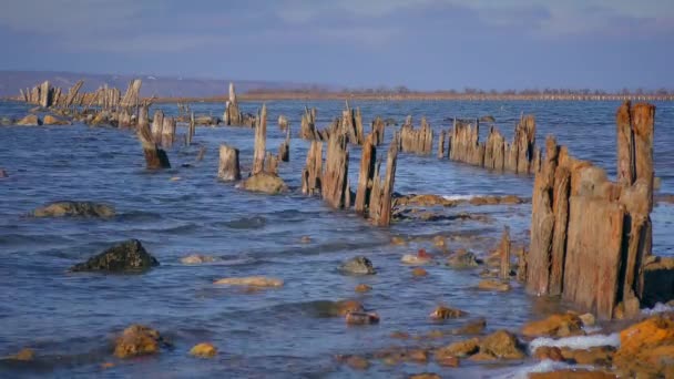 近代的な黒海の河口が淡水になると 川の流れが減少し 塩分が増加した 150年前のカイヤルニク河口では 塩が蒸発しました 古いダムの山 — ストック動画