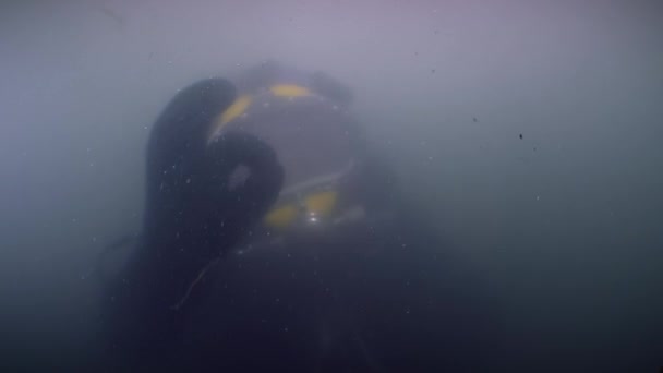 Komerční Potápěč Zakalené Vodě Ústí Řeky Signalizuje Rukou Pořádku — Stock video
