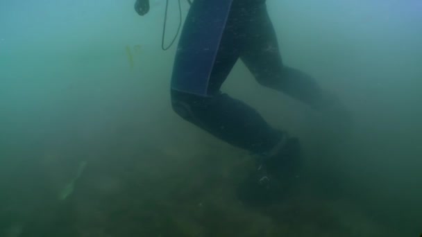 一名专业的潜水员在河口昏暗的水中沿着海床行走 相机从潜水员的脚边升到他的头盔上 — 图库视频影像