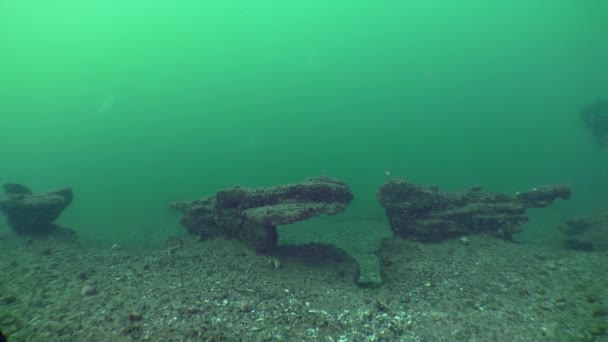 Ongebruikelijke Kalksteen Stalagmieten Zeebodem Met Een Duiker Die Achtergrond Zwemt — Stockvideo