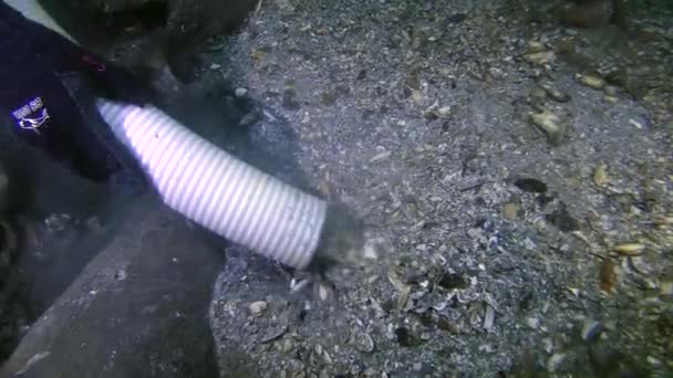 Podvodní Archeologie Výzkumný Potápěč Používá Hydraulické Čerpadlo Vysávání Půdy Podmořského — Stock video