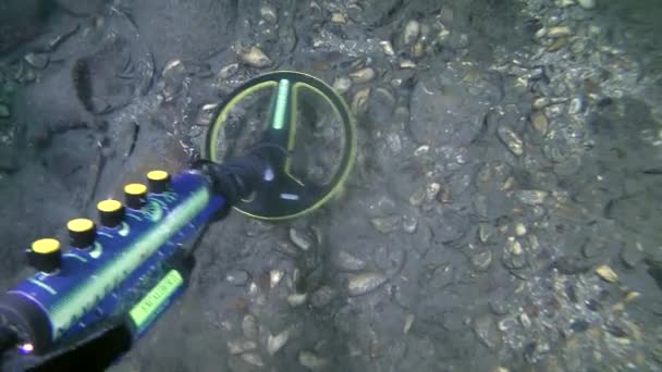 Undervattensarkeologi Dykare Med Metalldetektor Undersöker Havsbotten Nära Ett Kluster Amforor — Stockvideo