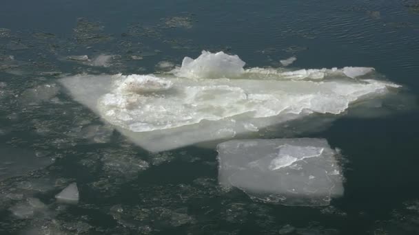 冰的浮冰和碎屑随水流缓慢漂移 — 图库视频影像
