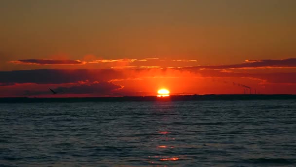 Eine Landschaft Reich Farbtönen Des Sonnenuntergangs Himmel Über Dem See — Stockvideo