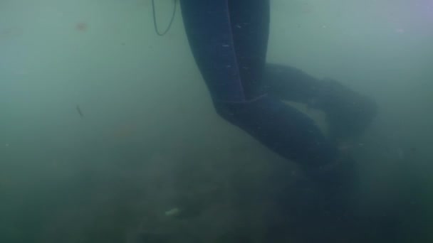 Ticari Bir Dalgıç Nehir Kıyısındaki Bulanık Sularda Deniz Yatağı Boyunca — Stok video