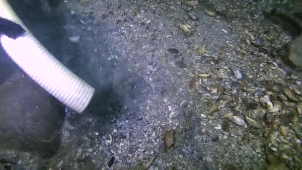 Υποβρύχια Αρχαιολογική Έρευνα Δύτης Χρησιμοποιεί Μια Υδραυλική Αντλία Για Πιπιλίζουν — Αρχείο Βίντεο