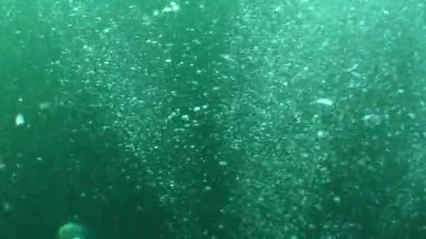 Búvárok Által Kibocsátott Légbuborékok Lassan Emelkednek Fel Mélységből — Stock videók