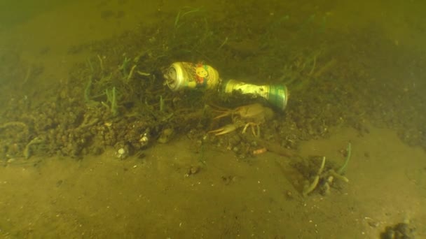 Σκουπίδια Στον Πυθμένα Της Δεξαμενής Μεταλλικά Δοχεία Για Ποτά Βρίσκονται — Αρχείο Βίντεο